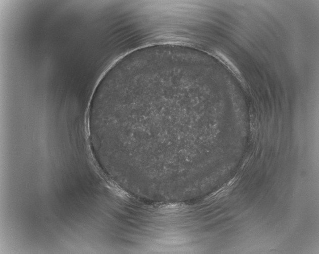 X0000072540891200608111810