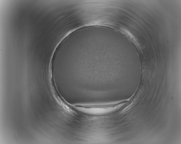 X0000072540892200608111810