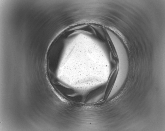 X0000072540894200608111810