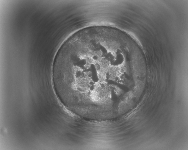 X0000072540895200608111810