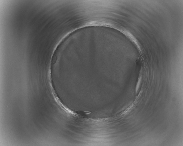 X0000072540896200608111810