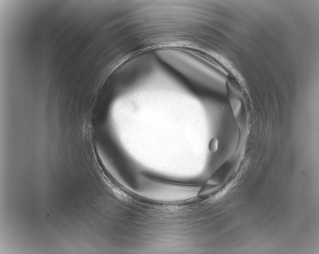 X0000072540897200608111810