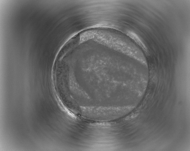 X0000072540900200608111810