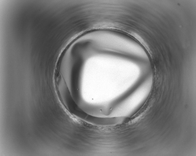 X0000072540901200608111810