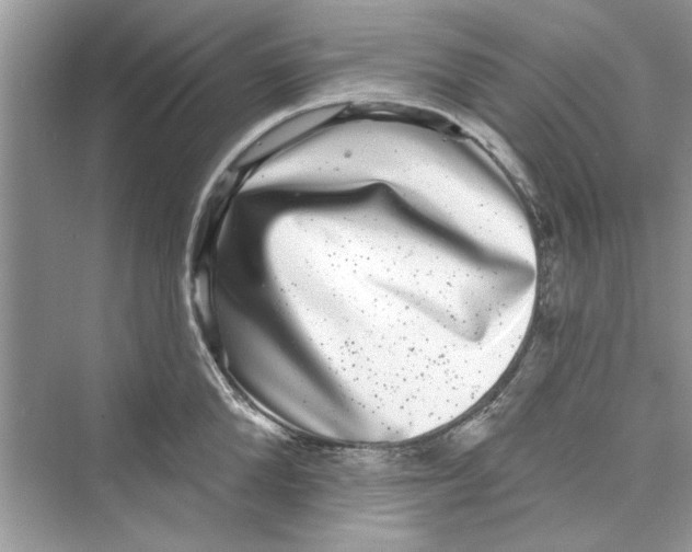 X0000072540904200608111809