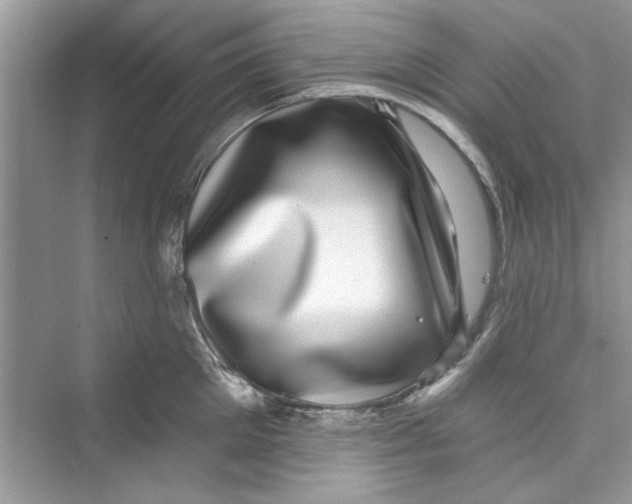 X0000072540905200608111809