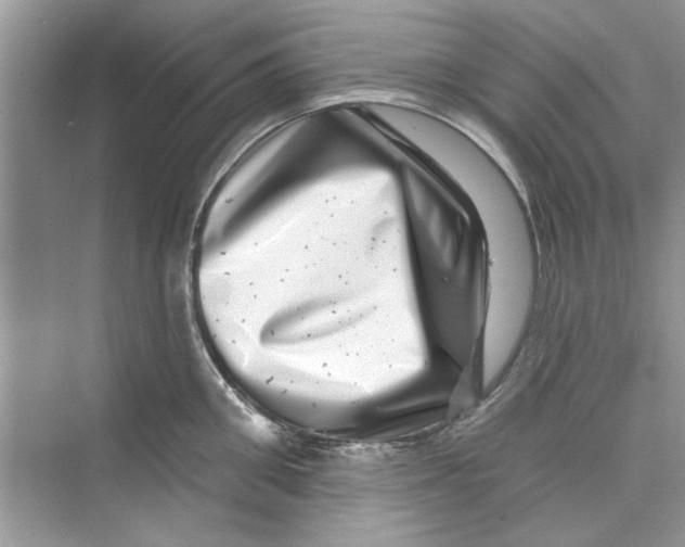 X0000072540906200608111809