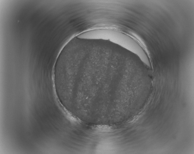 X0000072540907200608111809