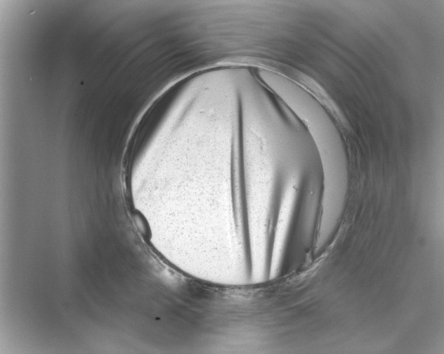 X0000072540908200608111809