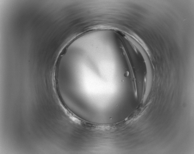 X0000072540909200608111809