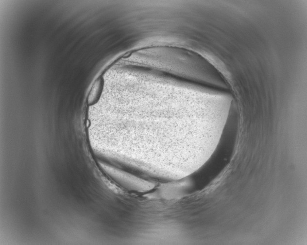 X0000072540912200608111809