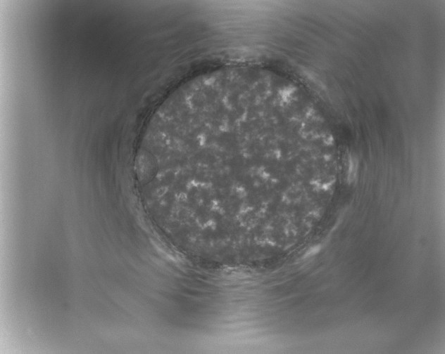 X0000072540913200608111809