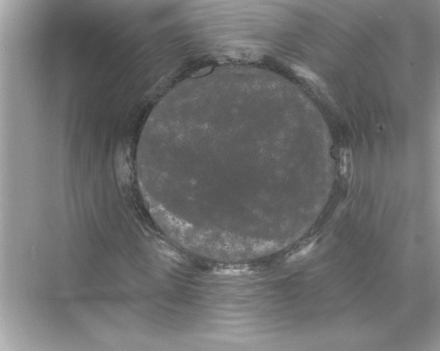 X0000072540915200608111809