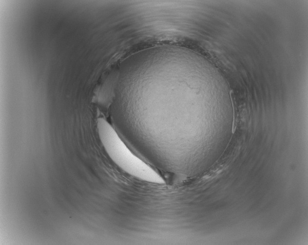 X0000072540916200608111809