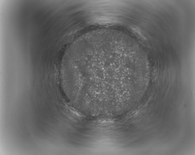 X0000072540917200608111809