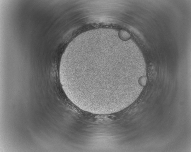 X0000072540918200608111809