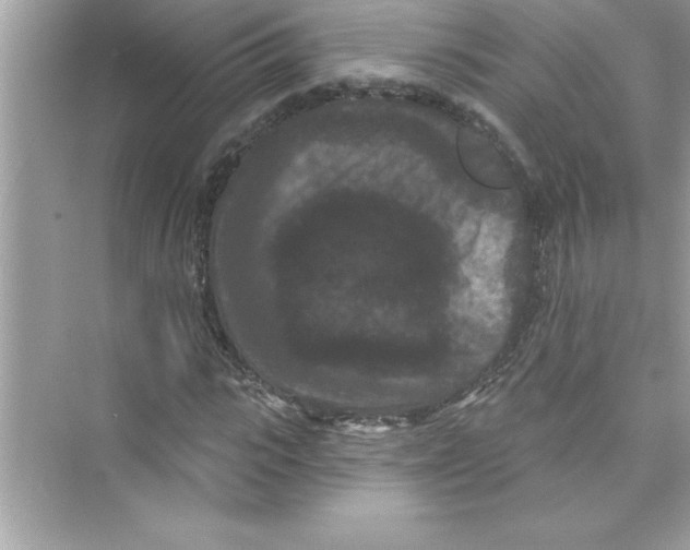 X0000072540919200608111809