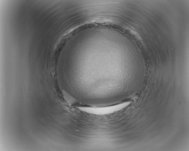 X0000072540920200608111809