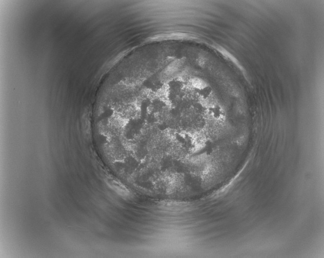 X0000072540921200608111809