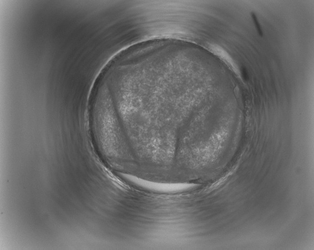 X0000072540924200608111809