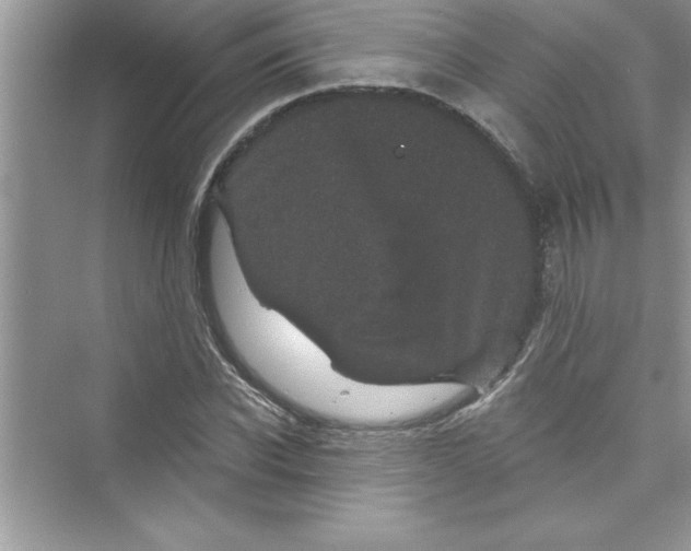 X0000072540926200608111809