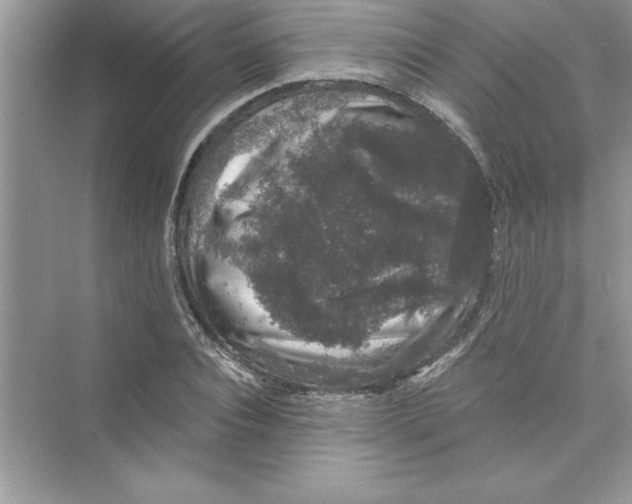 X0000072540928200608111809