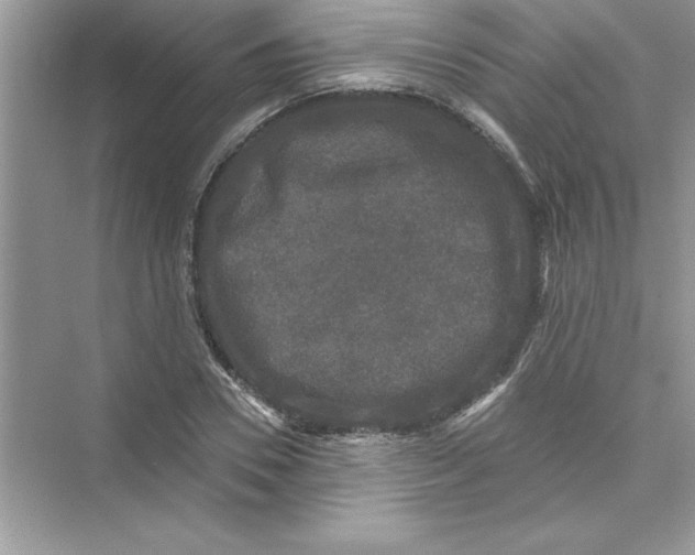 X0000072540930200608111809