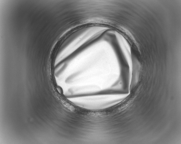 X0000072540931200608111809