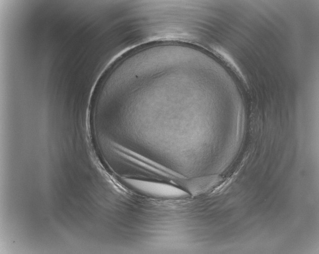 X0000072540932200608111809