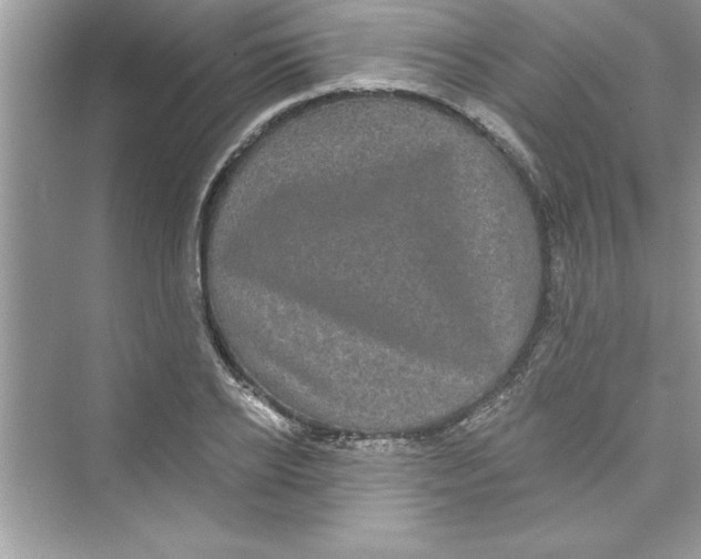 X0000072540934200608111809