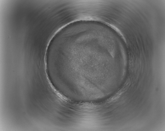 X0000072540935200608111809