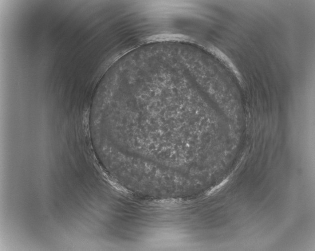 X0000072540937200608111809