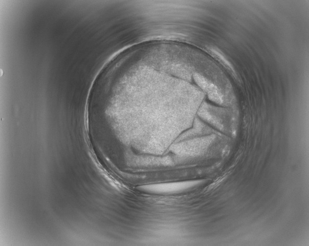 X0000072540940200608111809