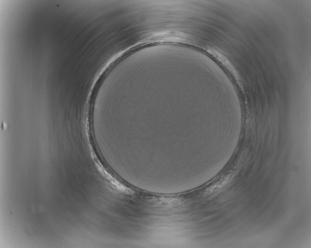 X0000072540941200608111809