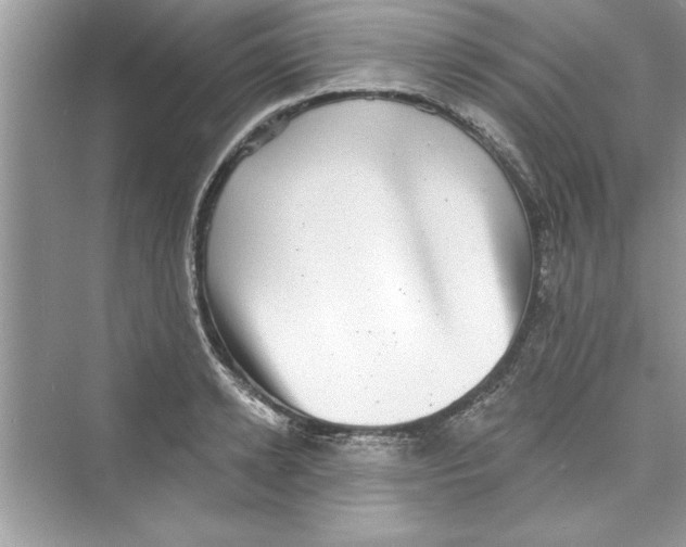 X0000072540942200608111809