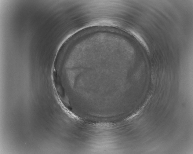 X0000072540944200608111809