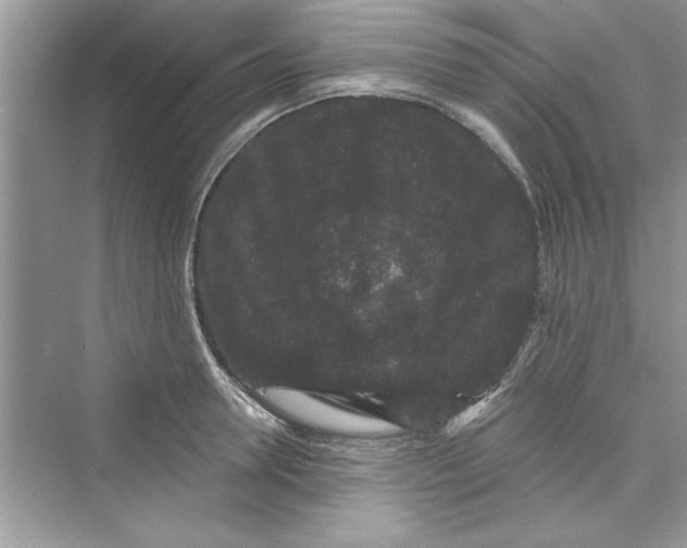 X0000072540946200608111809