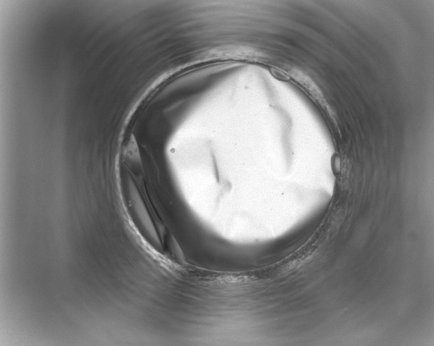 X0000072540947200608111809