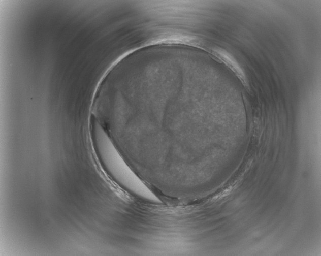 X0000072540948200608111809