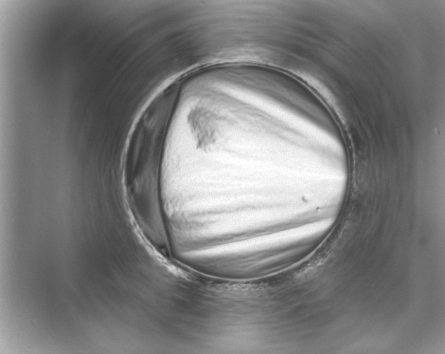 X0000072540949200608111809