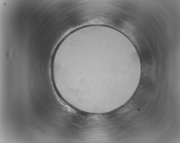 X0000072540950200608111809