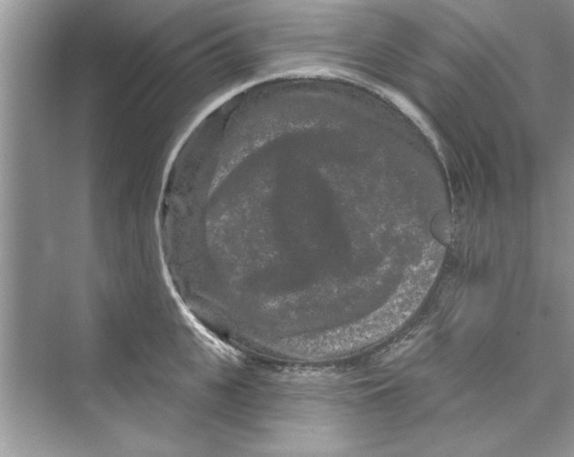 X0000072540951200608111809