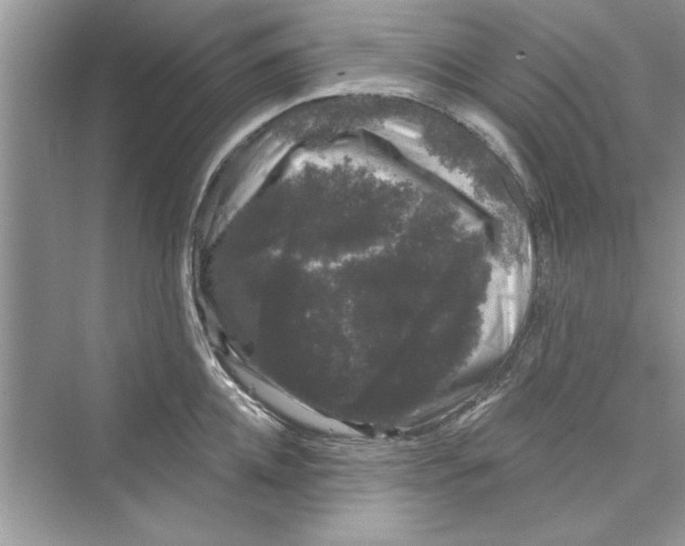 X0000072540952200608111809