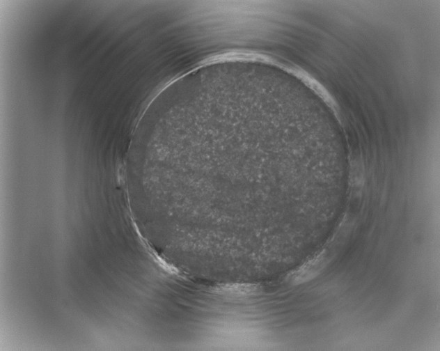 X0000072540953200608111809