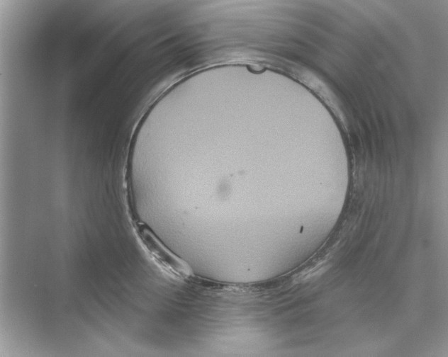 X0000072540954200608111809