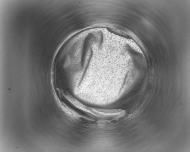 X0000072540955200608111809