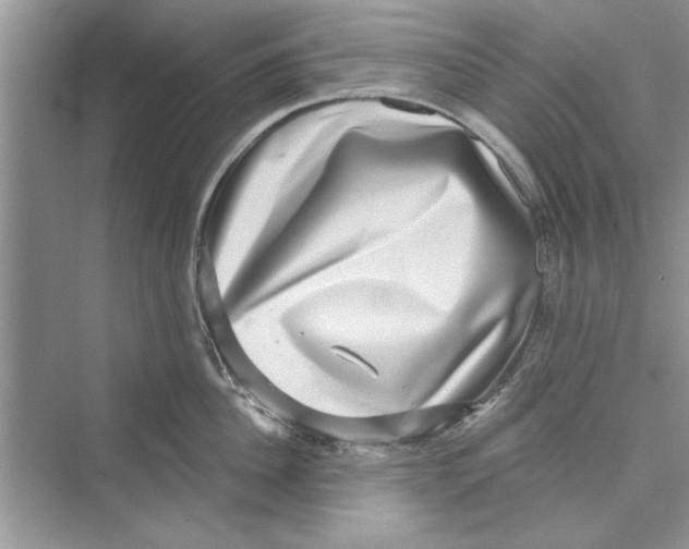 X0000072540956200608111809