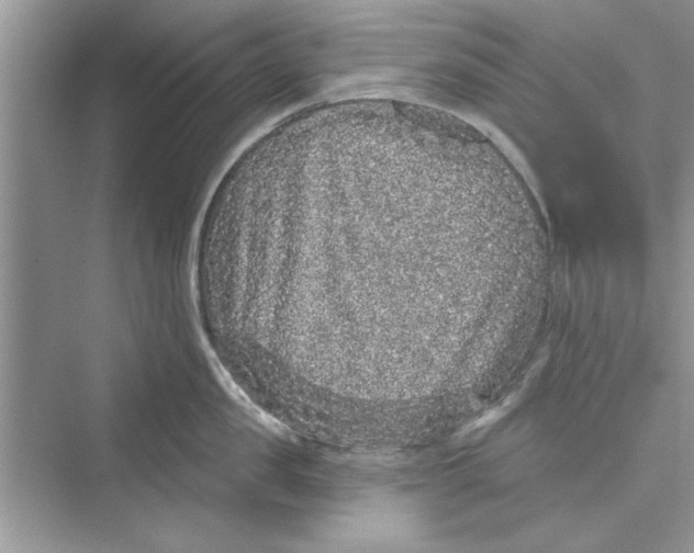 X0000072540957200608111809