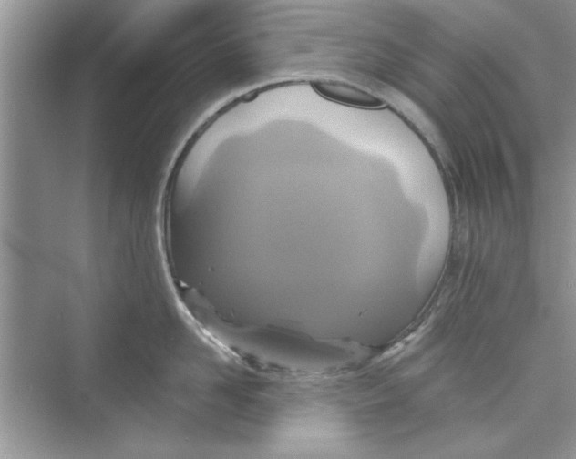 X0000072540958200608111809