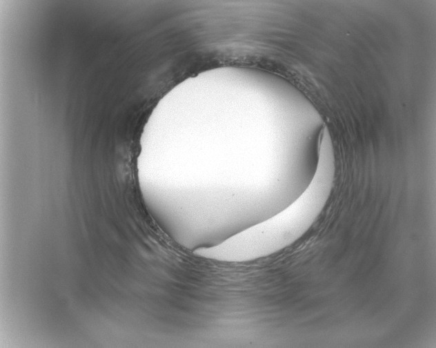 X0000072540964200608111808